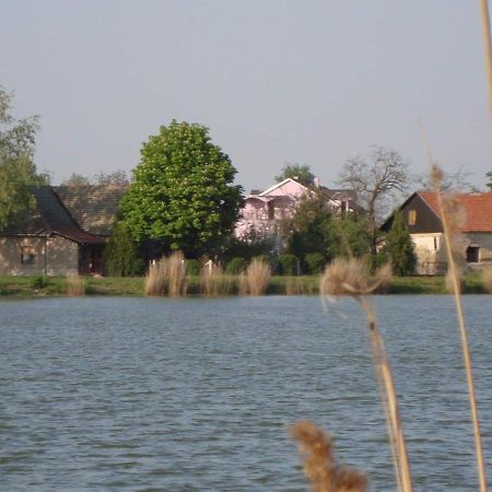 Vila Madams - Palic-Serbia Extérieur photo
