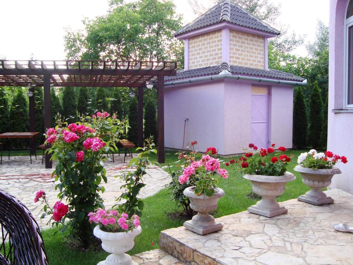 Vila Madams - Palic-Serbia Extérieur photo