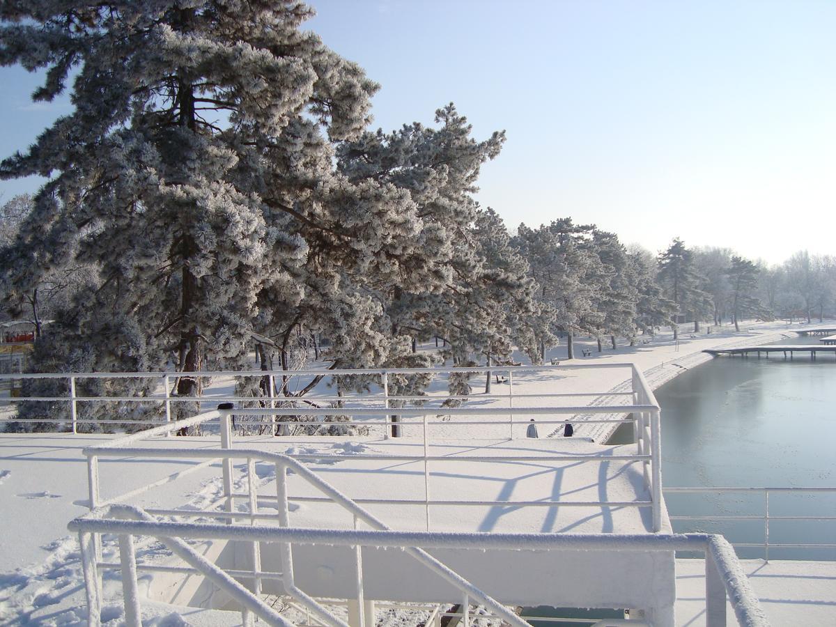 Vila Madams - Palic-Serbia Extérieur photo