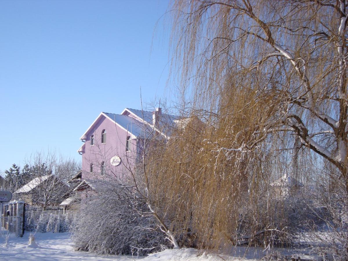 Vila Madams - Palic-Serbia Extérieur photo
